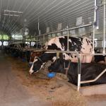 2017OTRA-1_424 (August 24, 2017)